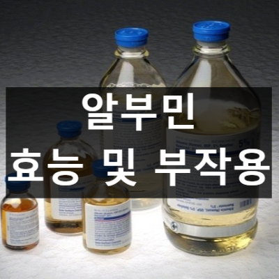 알부민