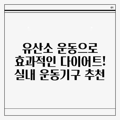 유산소 운동으로 효과적인 다이어트! 실내 운동기구 추천