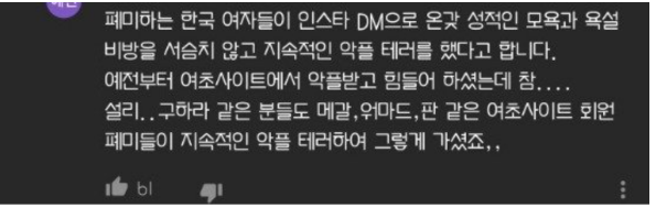  BJ메텔 사망 전 겪은 충격 적인 피해 사실(결국 폐미?)