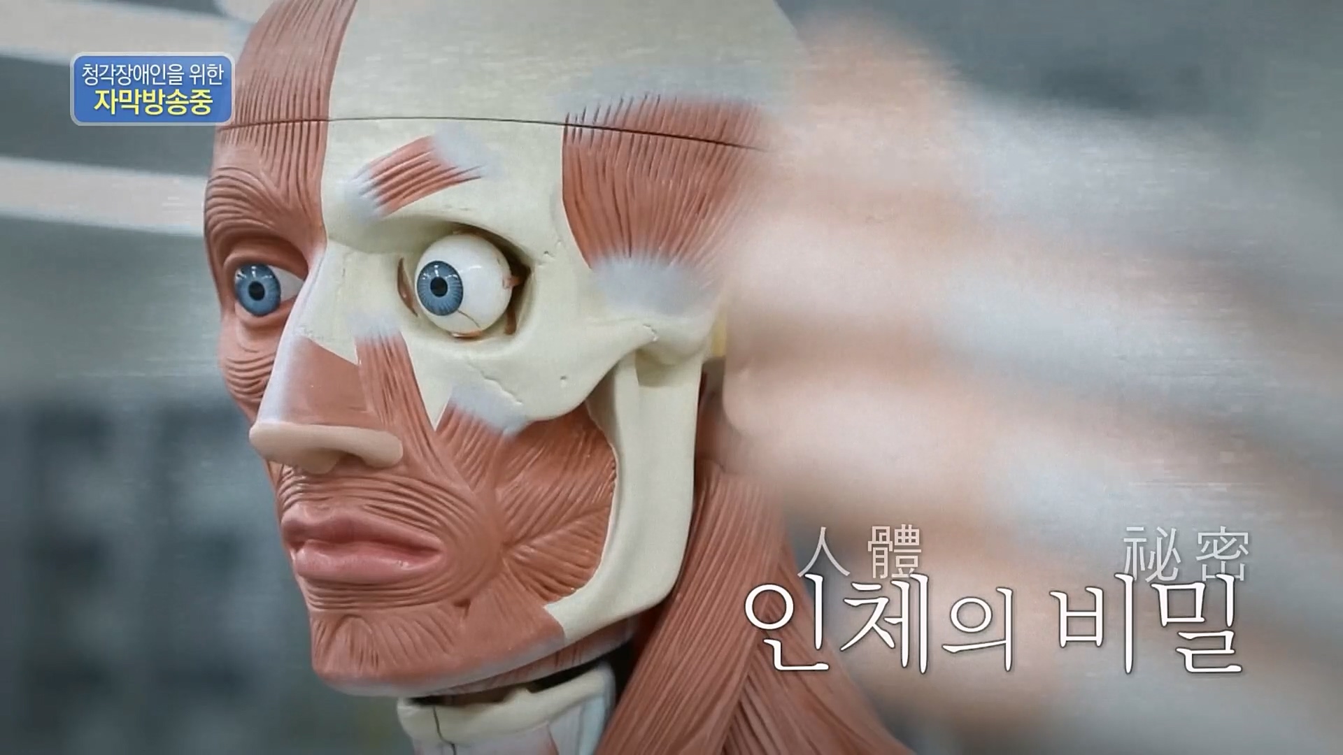 이웃집 찰스.E375.230214p.H264-F1RST.mp4_20230215_201413.580.jpg