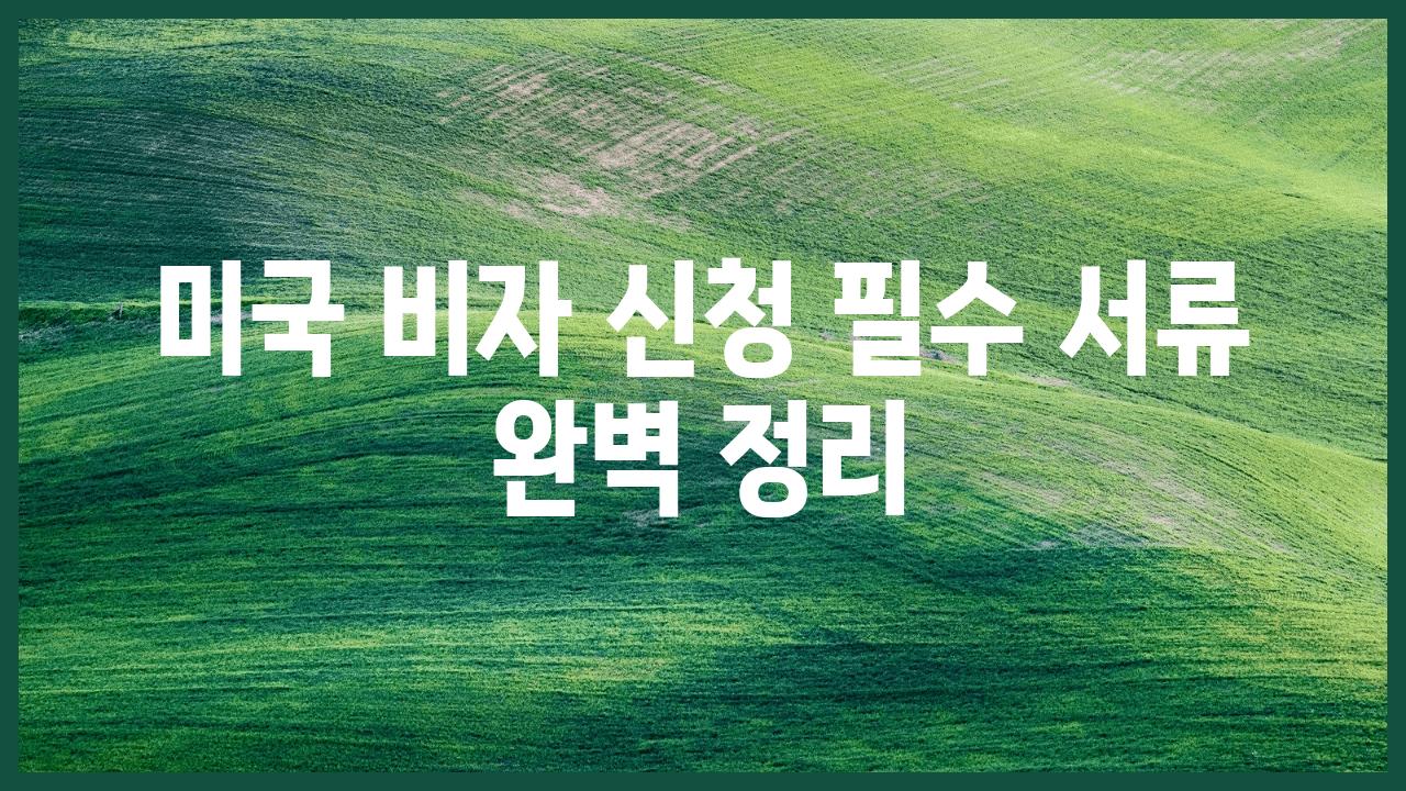 미국 비자 신청 필수 서류 완벽 정리