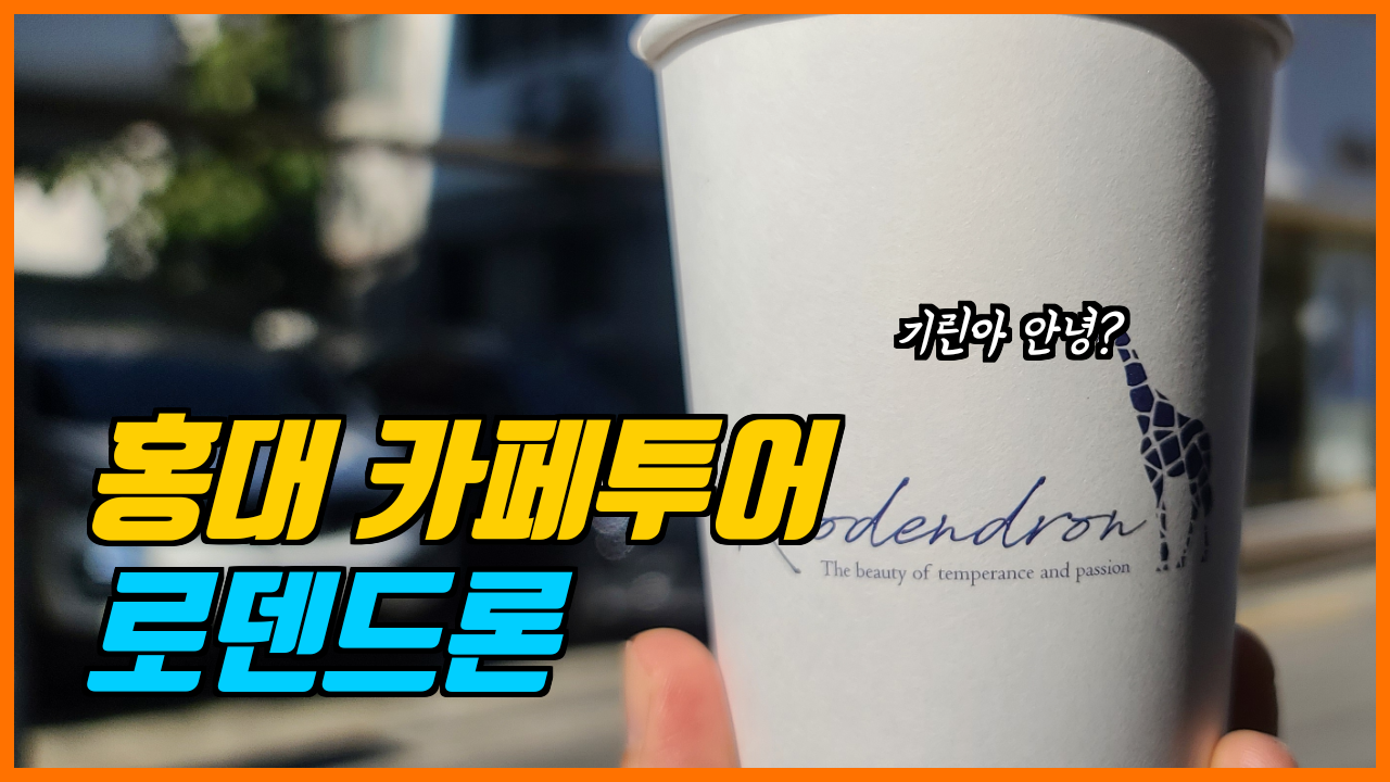  카페투어_서울여행 홍대 신상카페 로덴드론 방문기!