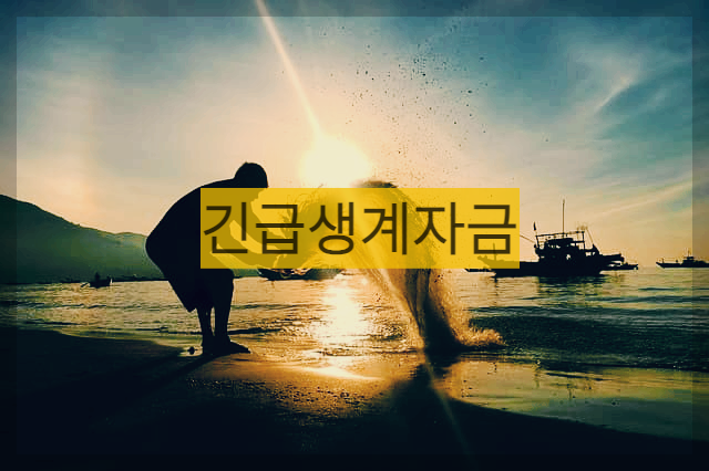  미소금융 긴급생계자금 : 급하게 돈이 필요할때 필요한 대출