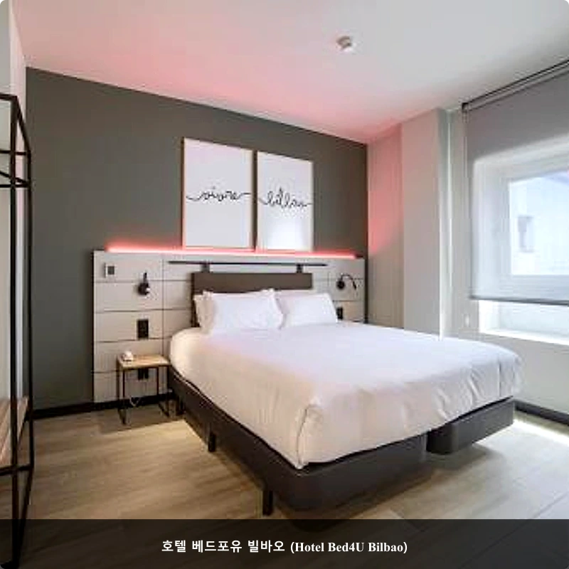 호텔 베드포유 빌바오 (Hotel Bed4U Bilbao)_1