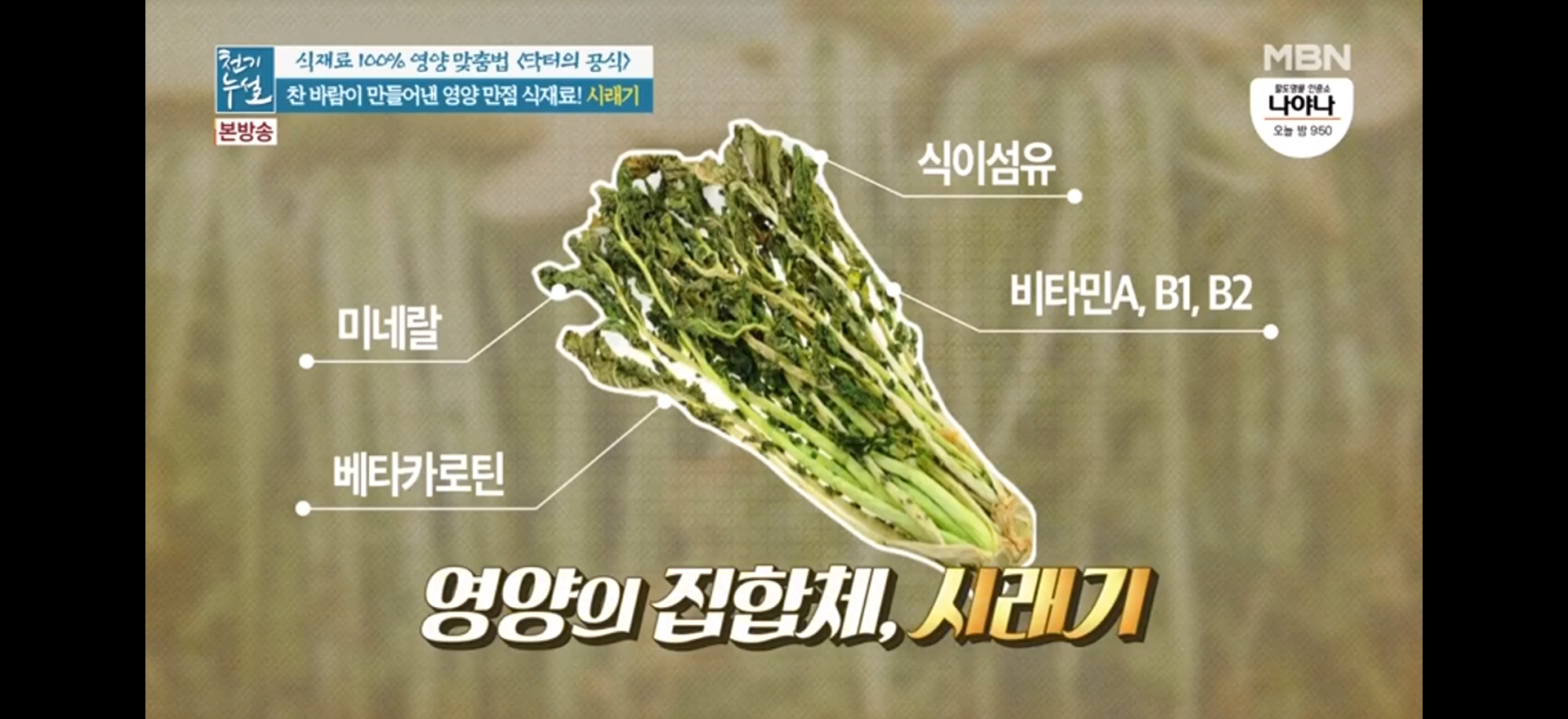  겨울철 보약 좋은 시래기 고르는 법과 시래기 삶는 방법!(천기누설)