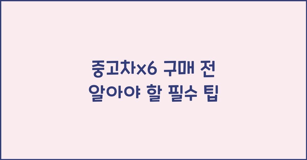 중고차x6