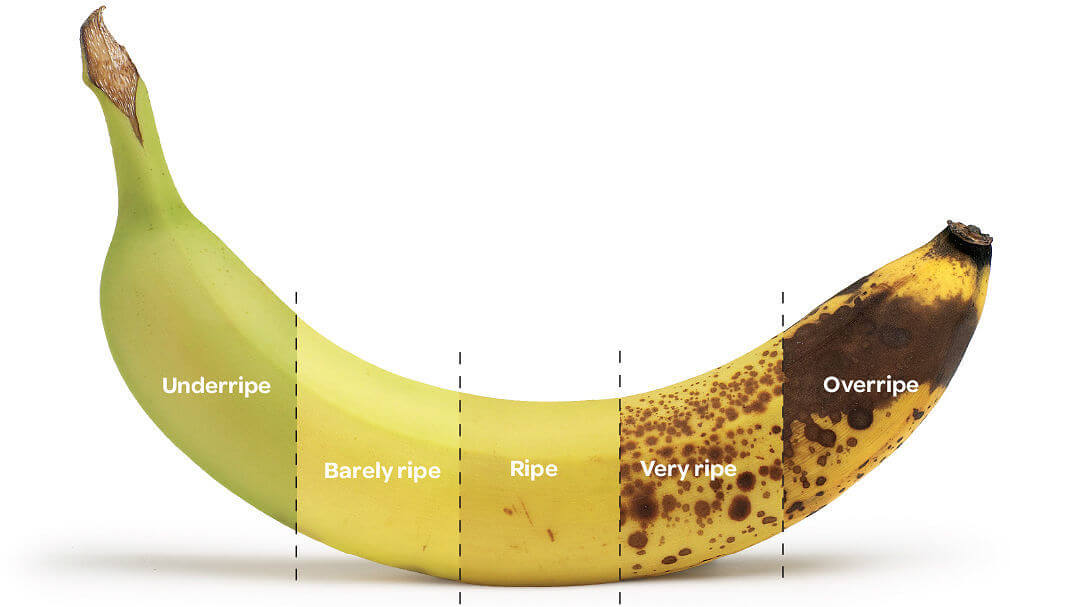 ripening of bananas