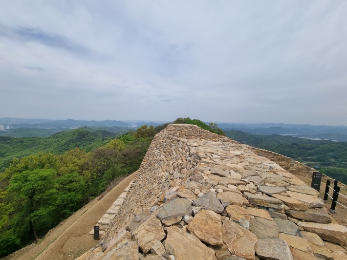 곡성