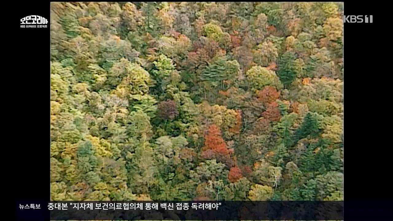 다큐 인사이트.E132.221118p.H264-F1RST.mp4_20221123_200518.952.jpg