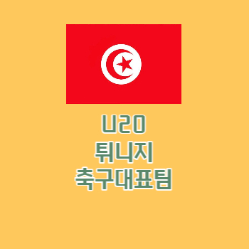 U20튀니지축구대표팀