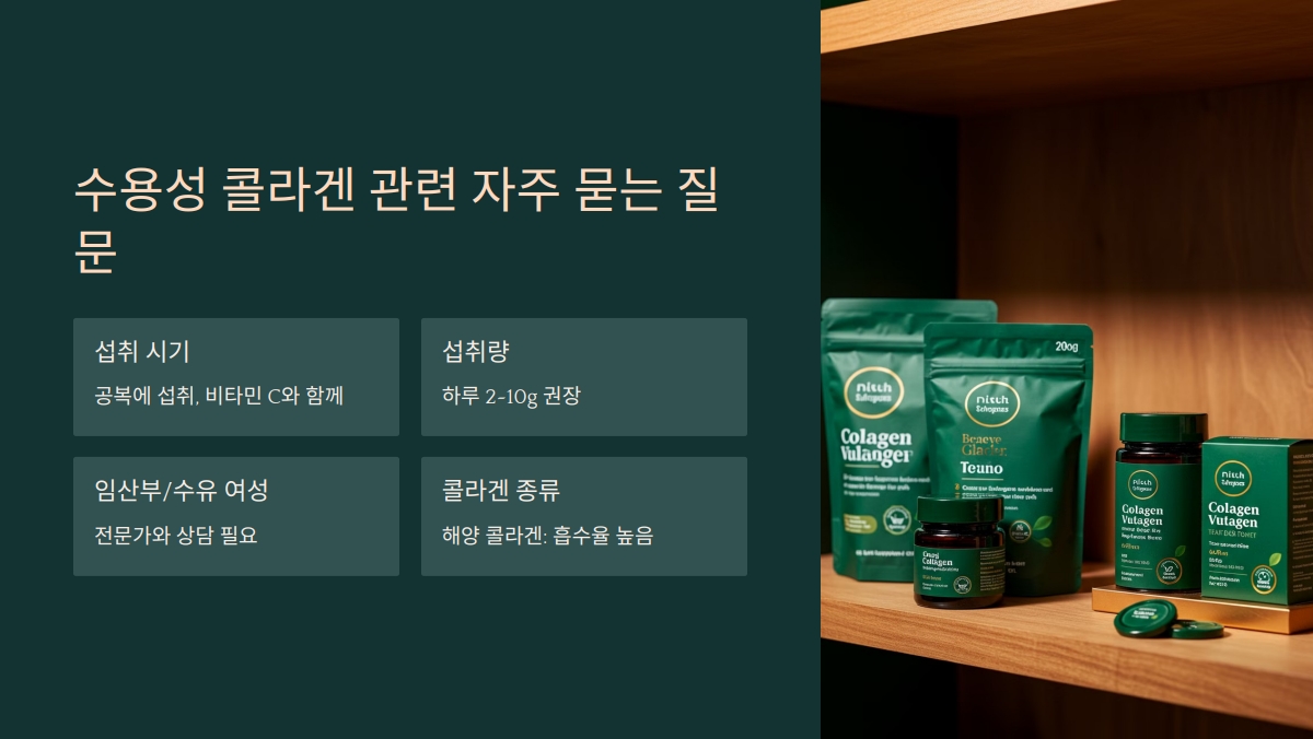 수용성 콜라겐 효능