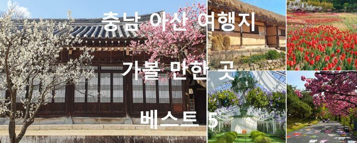 충남 아산 여행지 추천: 요즘 뜨는 가볼만한 곳 베스트 5