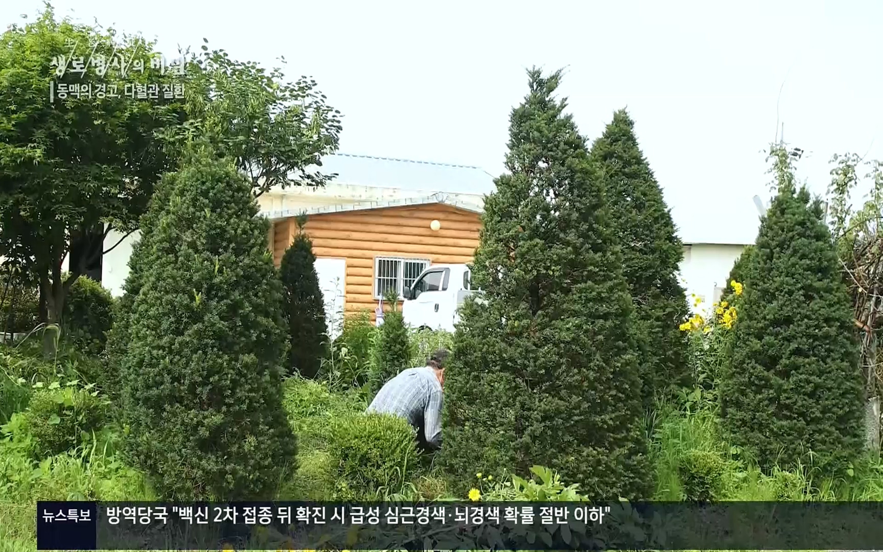 생로병사의 비밀.E831.220817p.H264-F1RST.mp4_20220822_185310.374.jpg
