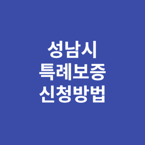 성남시 소상공인 특례보증