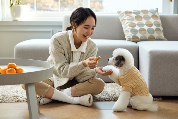 아파트에서 키우기 좋은 소형견 추천