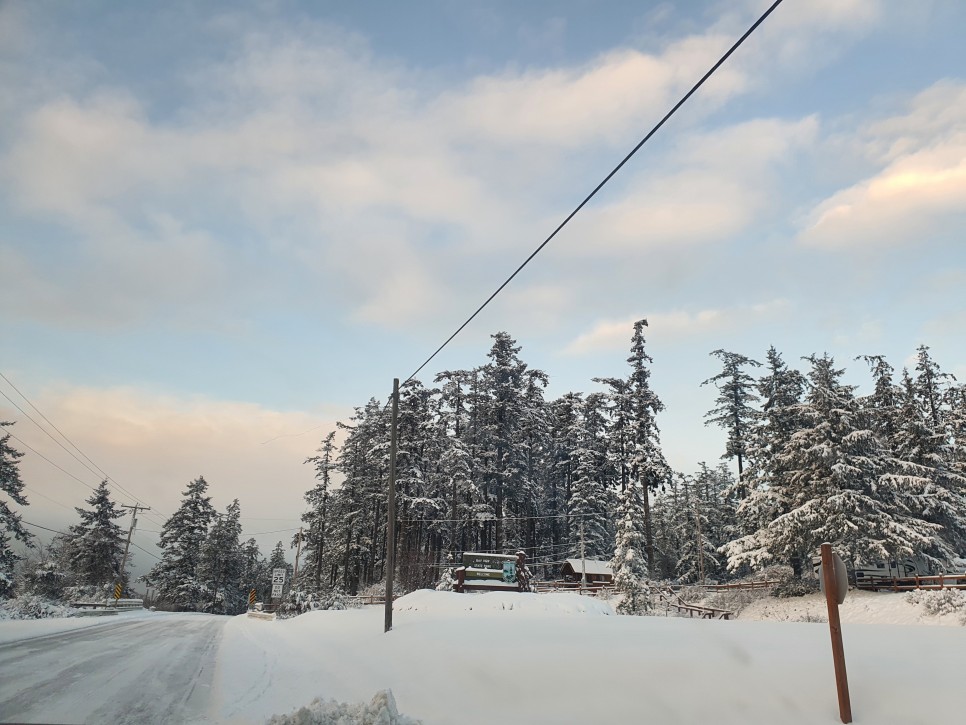 rv RV 카라반 끌고 미국 39