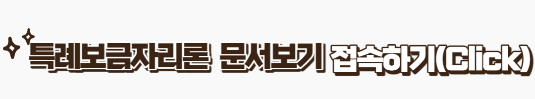 특례보금자리론-보도자료-보기