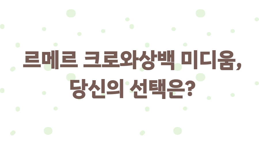 르메르 크로와상백 미디움? 200만원 가치 있을까? - 르메르 크로와상백 미디움, 당신의 선택은? 르메르 크로와상백 미디움? 200만원 가치 있을까? - 르메르 크로와상백 미디움, 당신의 선택은?