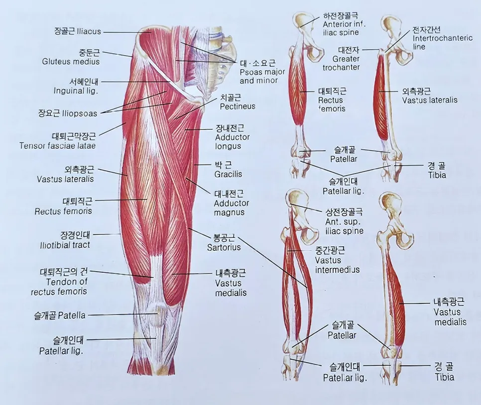 전대퇴근