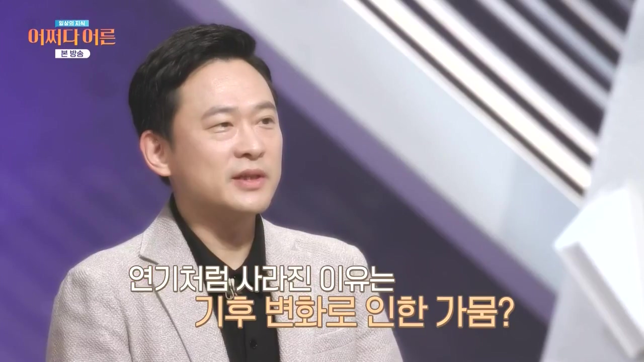 어쩌다 어른.E55.240508p-NEXT.mp4_20240508_202533.933.jpg