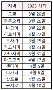 2023년 일본 벚꽃 시즌