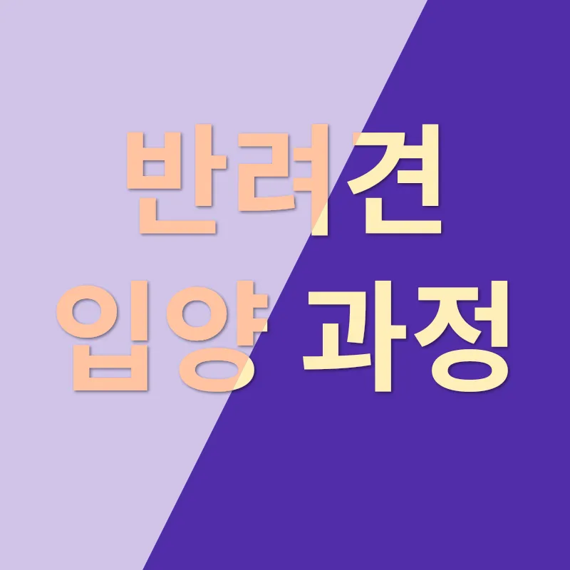 반려견 입양_2