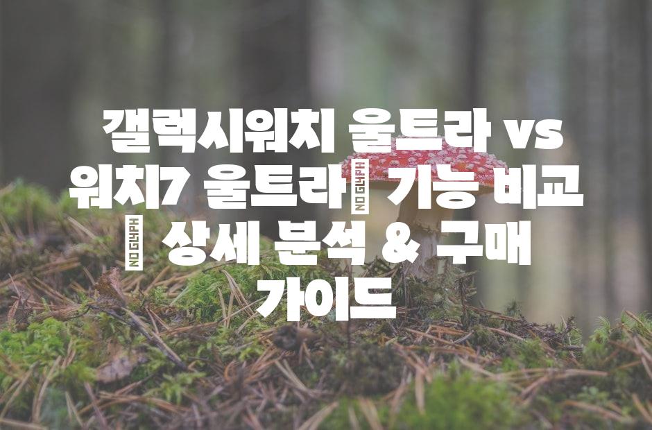 샘플 (42)