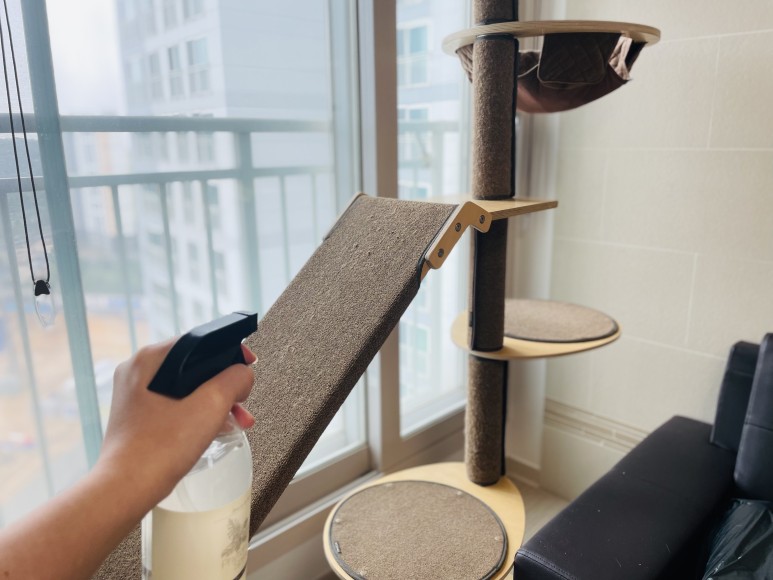 초파리 벌레 극혐오 4가지 활용법 19