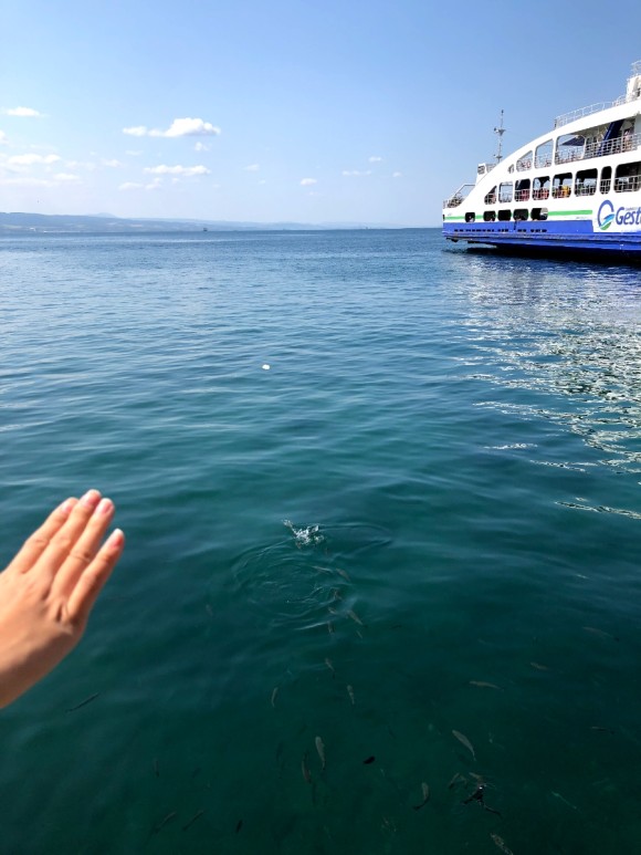 7일차 1편 :: 트로이 목마&트로이 유적지, 고등어케밥 2019. 8. 15. 댜든이의 터키 가족여행 26