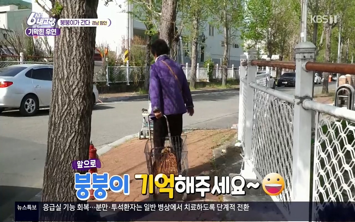 6시 내고향.E7518.220426p.H264-F1RST.mp4_20220504_191748.151.jpg