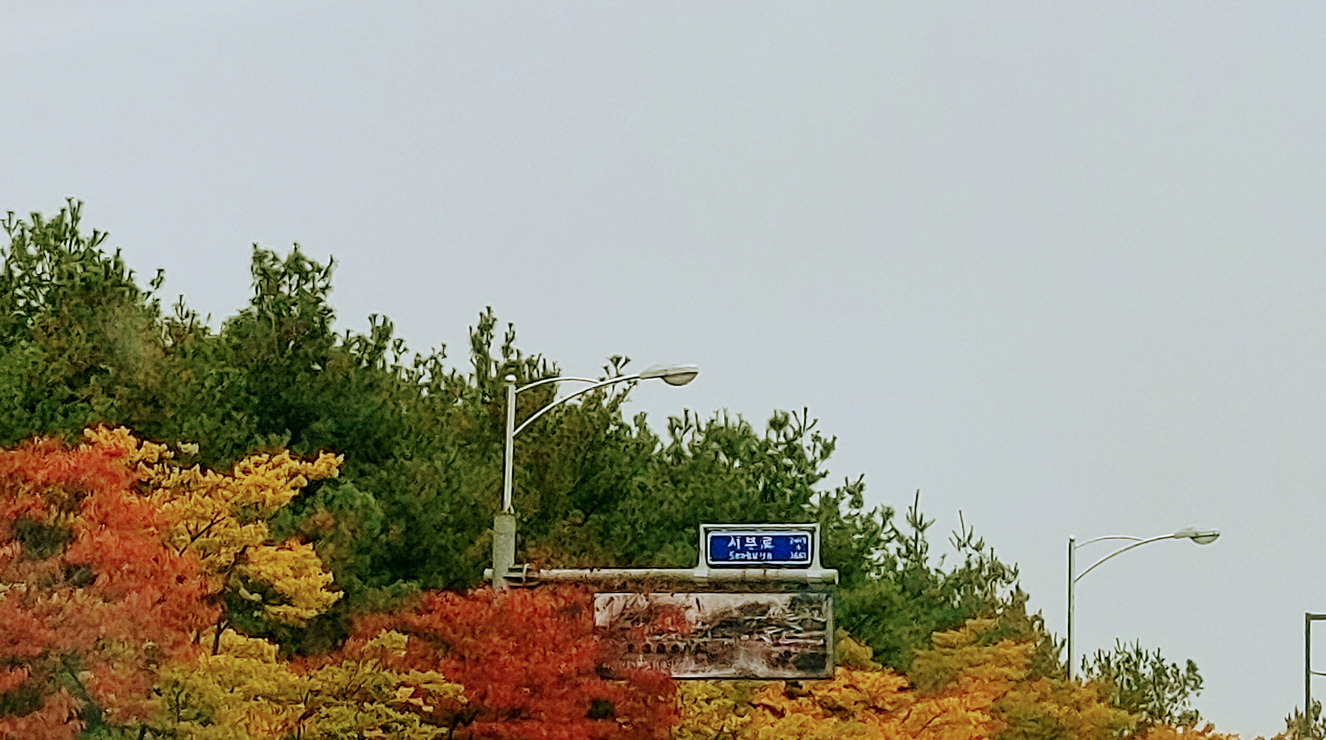 img.jpg