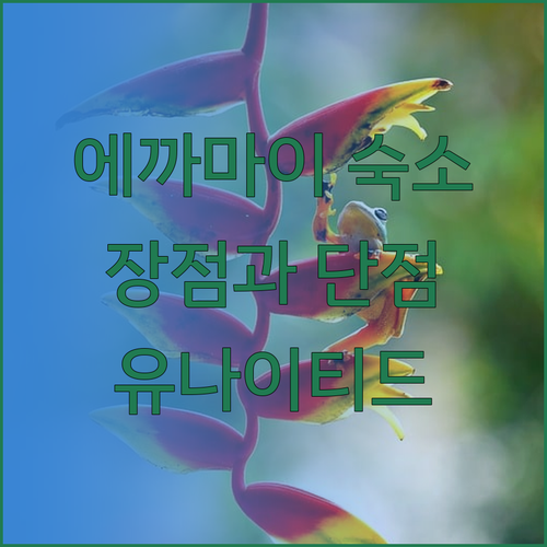 방콕 에까마이 숙소 유나이티드 레지던