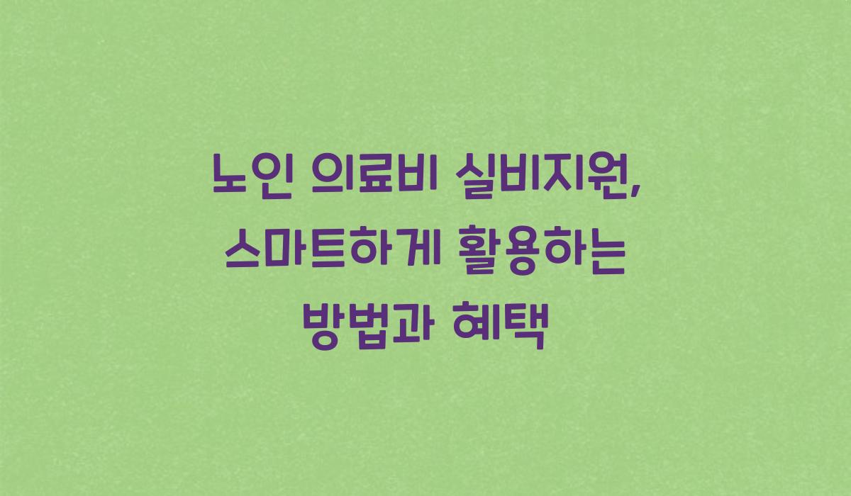 노인 의료비 실비지원
