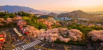 대구 경북 6월 축제 가볼만한 곳 2025년 최신_8