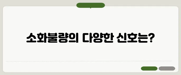 소화가 잘 안될때 나타나는 증상 총정리
