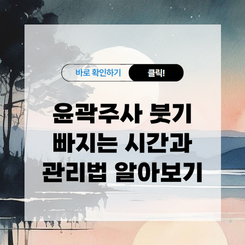 윤곽주사 붓기 빠지는 시간과 관리법 알아보기