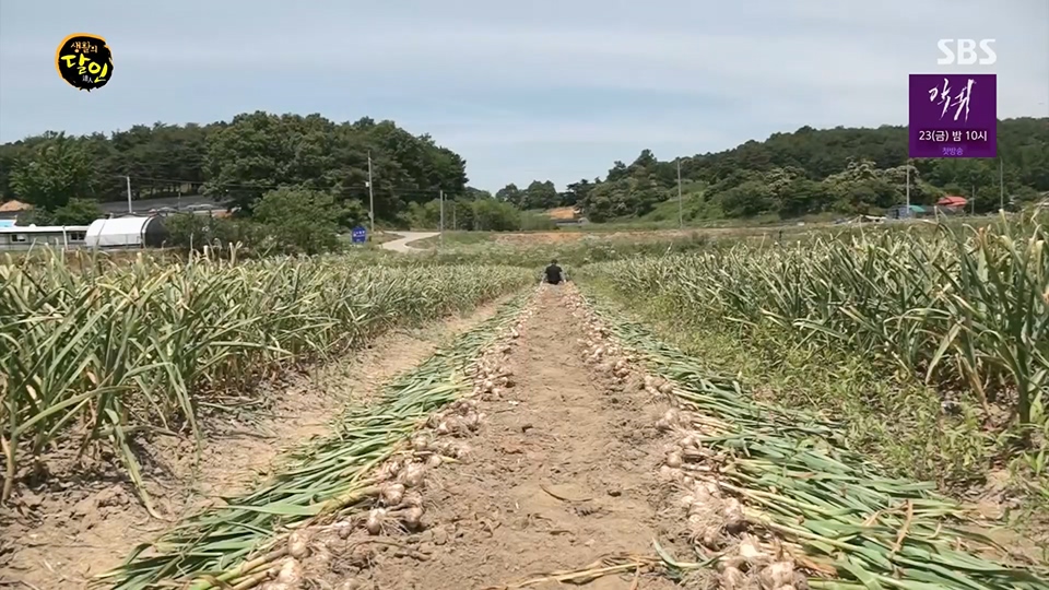 생활의 달인.E893.230619p.H264-F1RST.mp4_20230620_203623.768.jpg