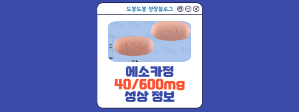 에소카정 40/600mg 성상 이미지