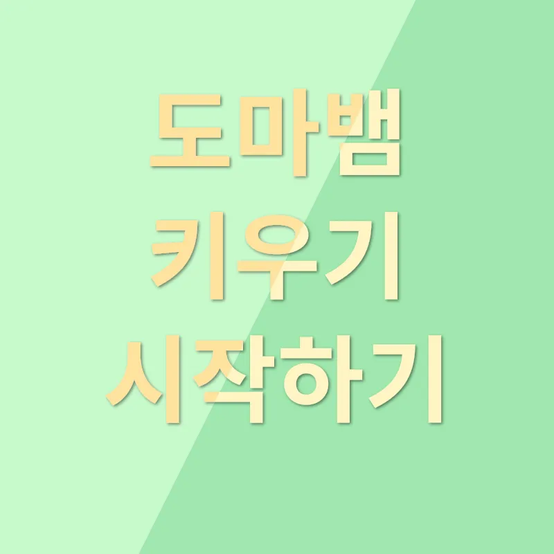 도마뱀 키우기_3
