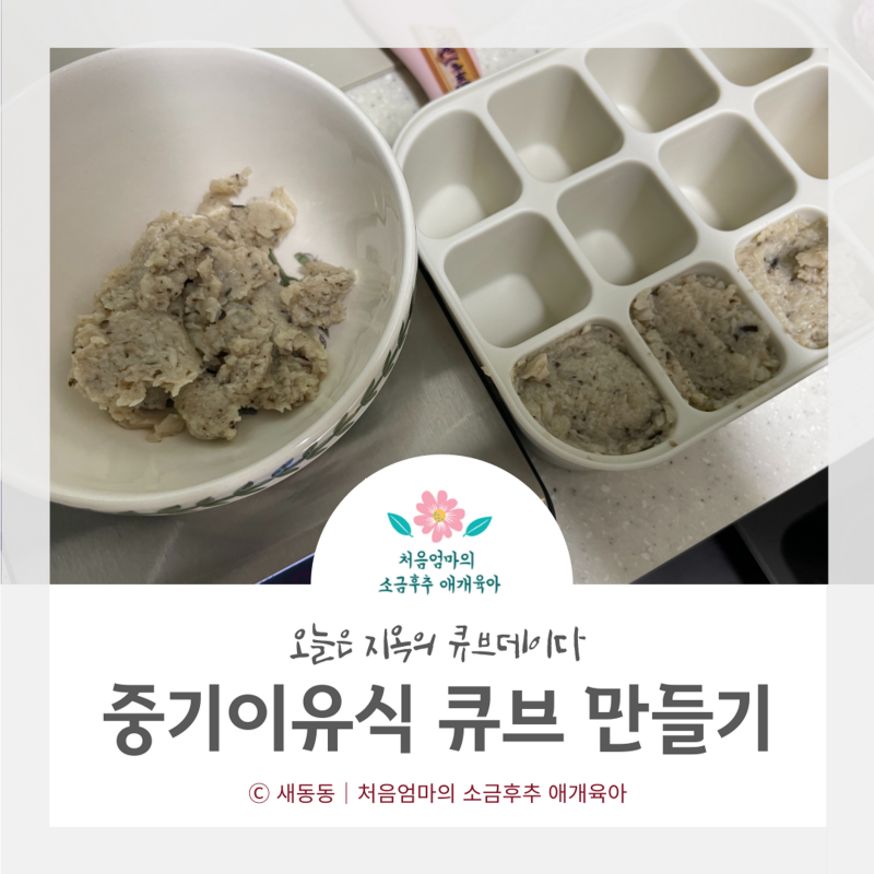  중기이유식 큐브 만들기 (새송이, 청경채, 양파, 밤, 닭고기, 소고기)