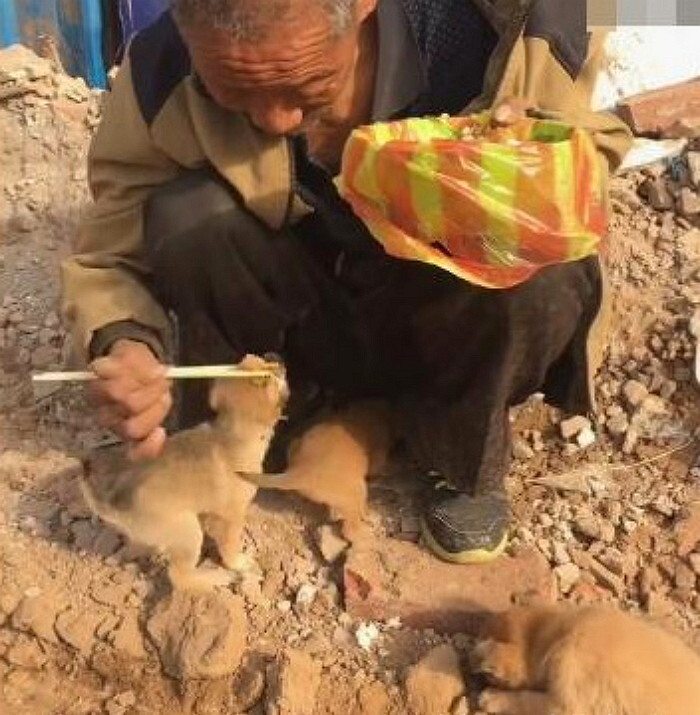 "길거리에서 힘들게 구한 음식을 노숙자 할아버지"는 혼자 먹기에도 턱없이 부족했지만…굶고 있는 강아지들이 안쓰러워 나누어 먹었고 이를 지켜보던 사람들은 가슴이 먹먹해집니다.