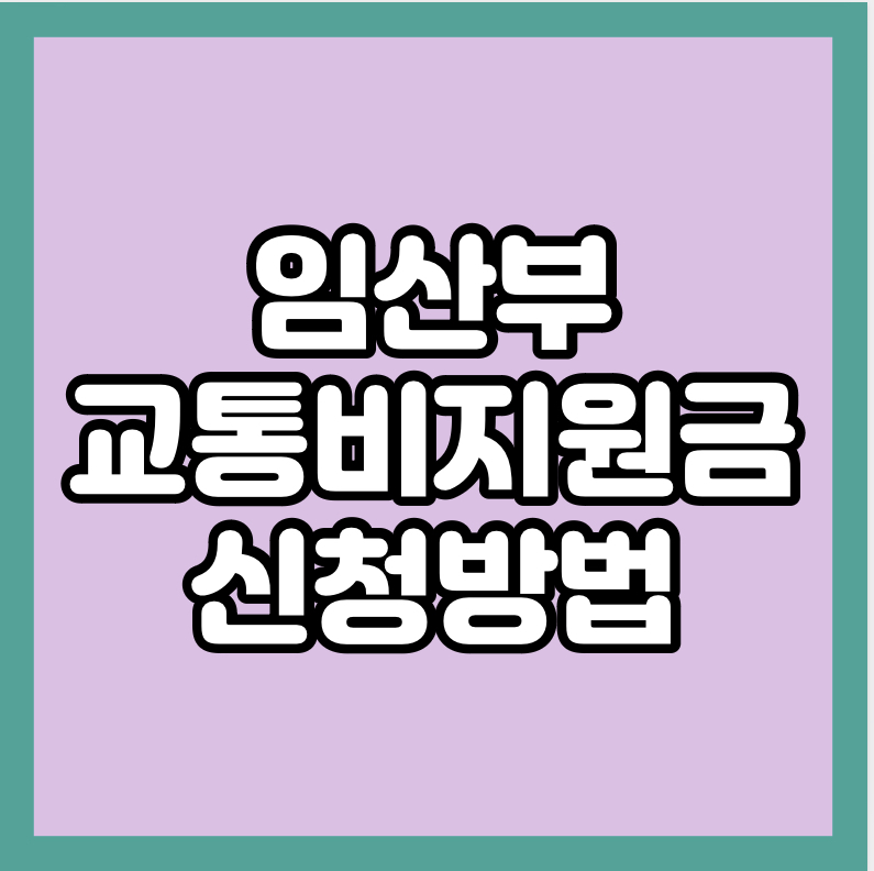 임산부 교통비 지원금