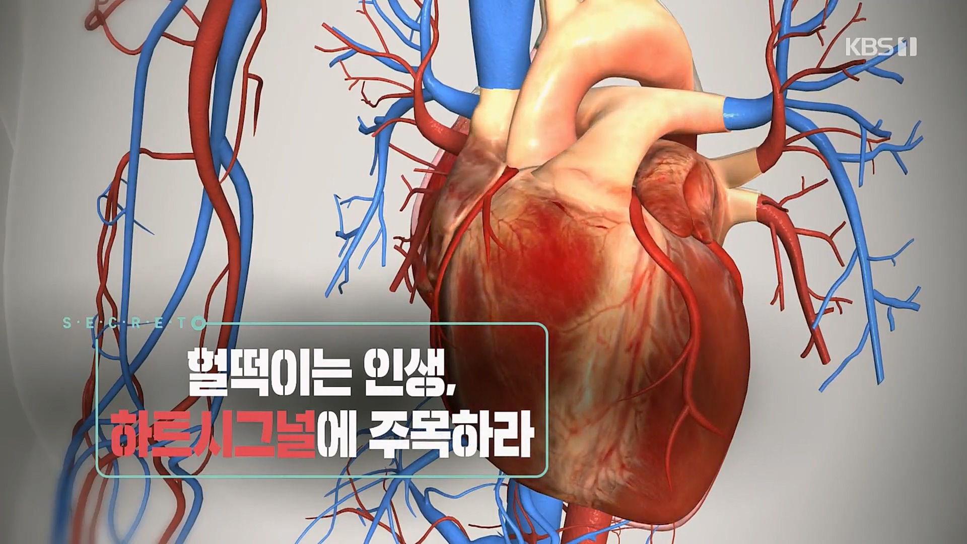 생로병사의 비밀.E853.230125p.H264-F1RST.mp4_20230210_195934.595.jpg