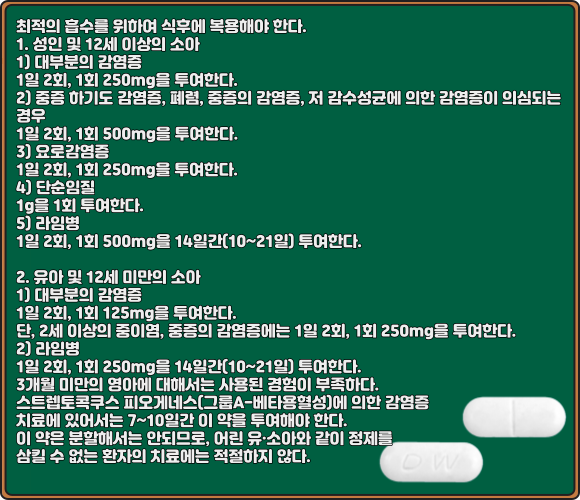 베아세프정_복용법