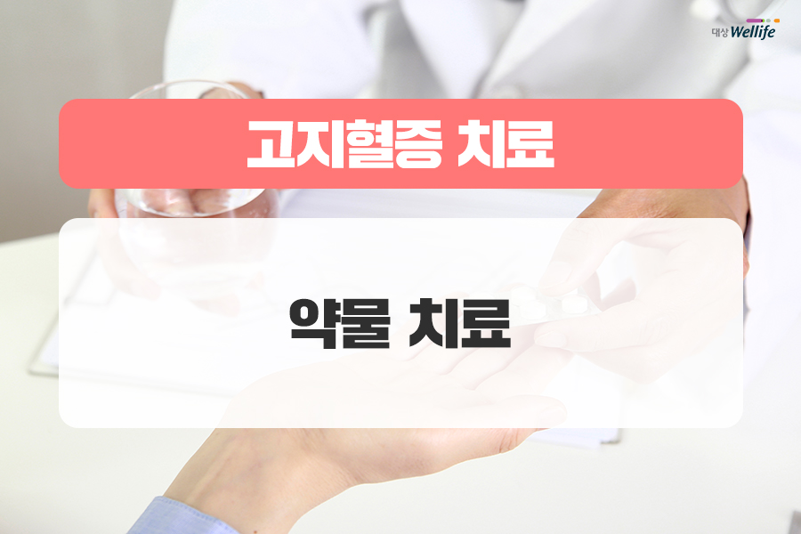 알고 생활습관과 식단으로 관리하자! 고지혈증의 원인은 바로 12