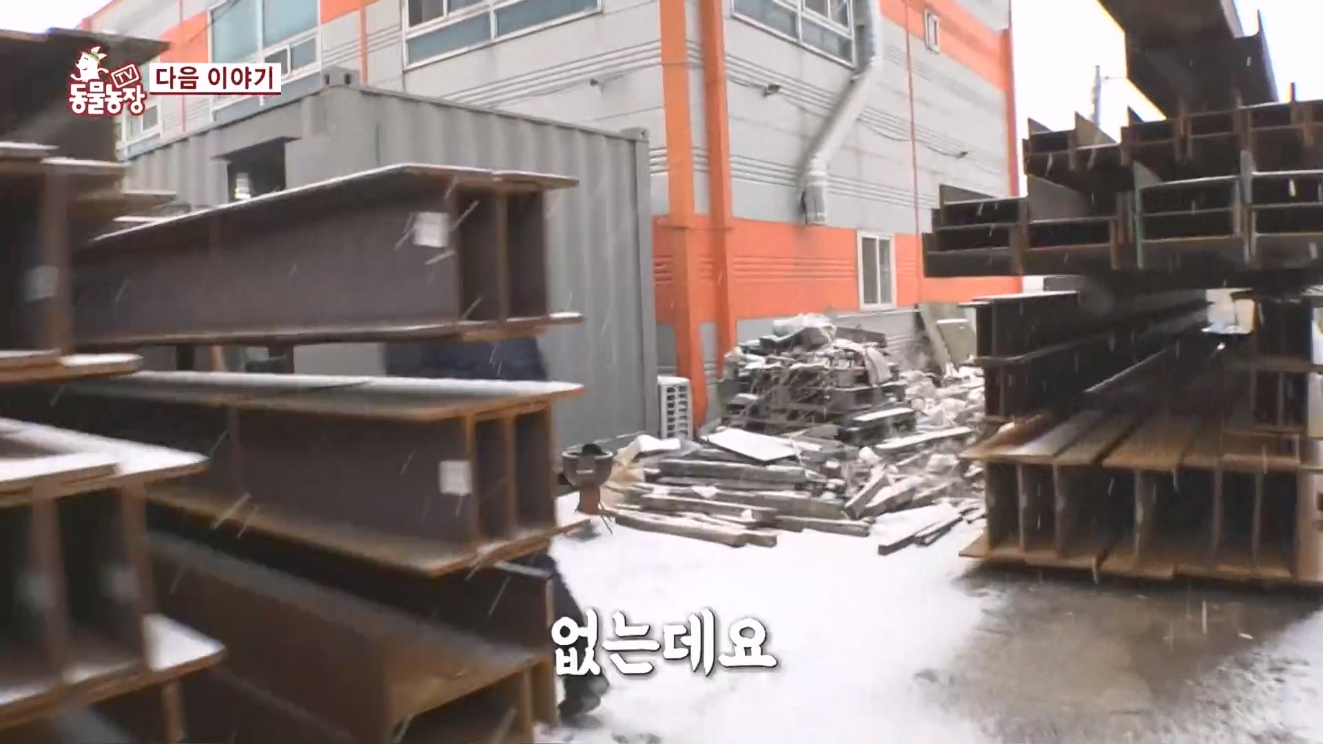 TV 동물농장.E1160.240225p.H264-F1RST.mp4_20240225_165136.185.jpg