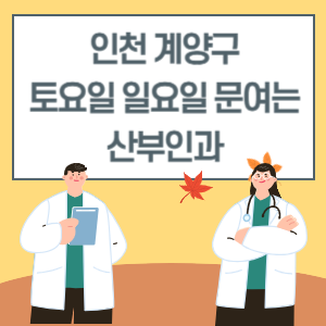 인천 계양구 토요일 일요일 산부인과 진료 병원 리스트