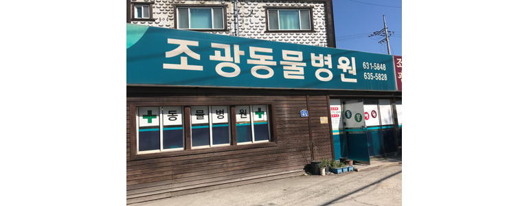 속초시 동물병원