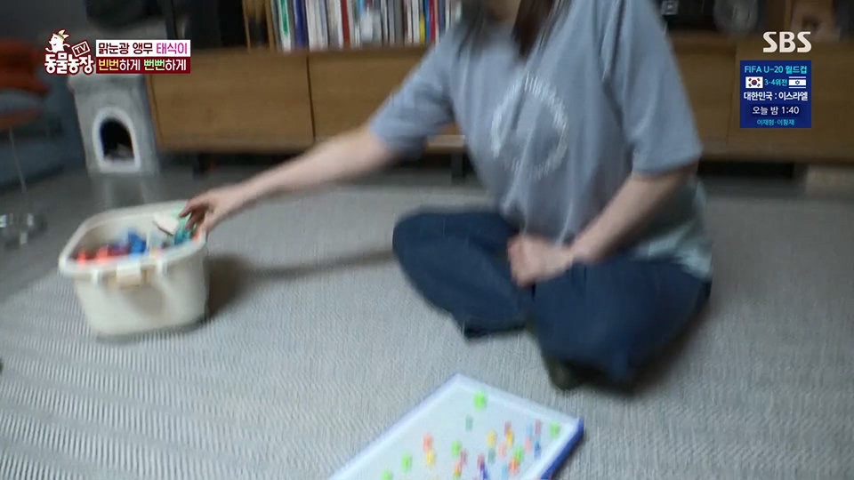 TV 동물농장.E1124.230611p.H264-F1RST.mp4_20230611_173554.720.jpg