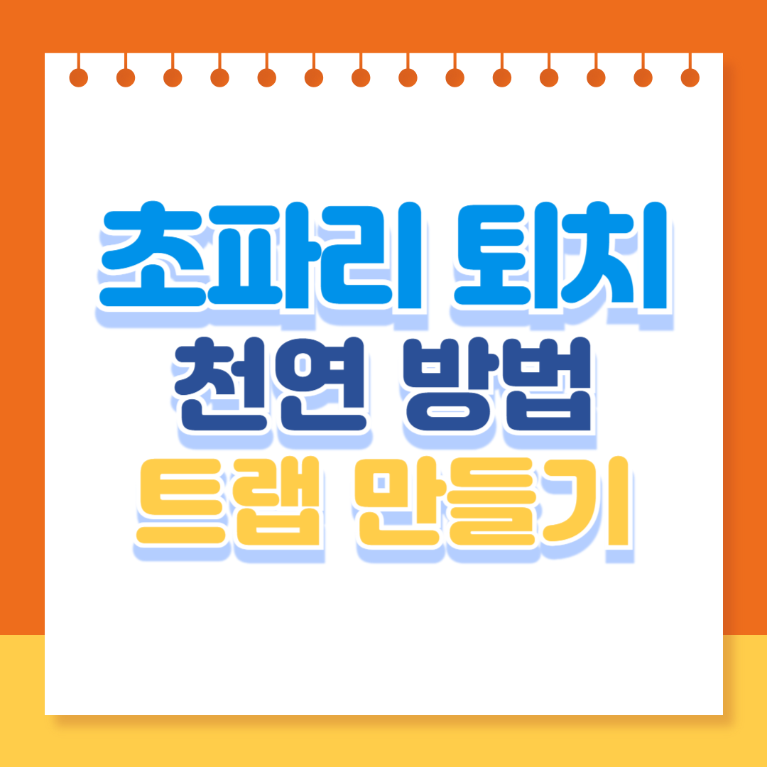 초파리 없애는 천연 방법, 초파리 트랩 만들기